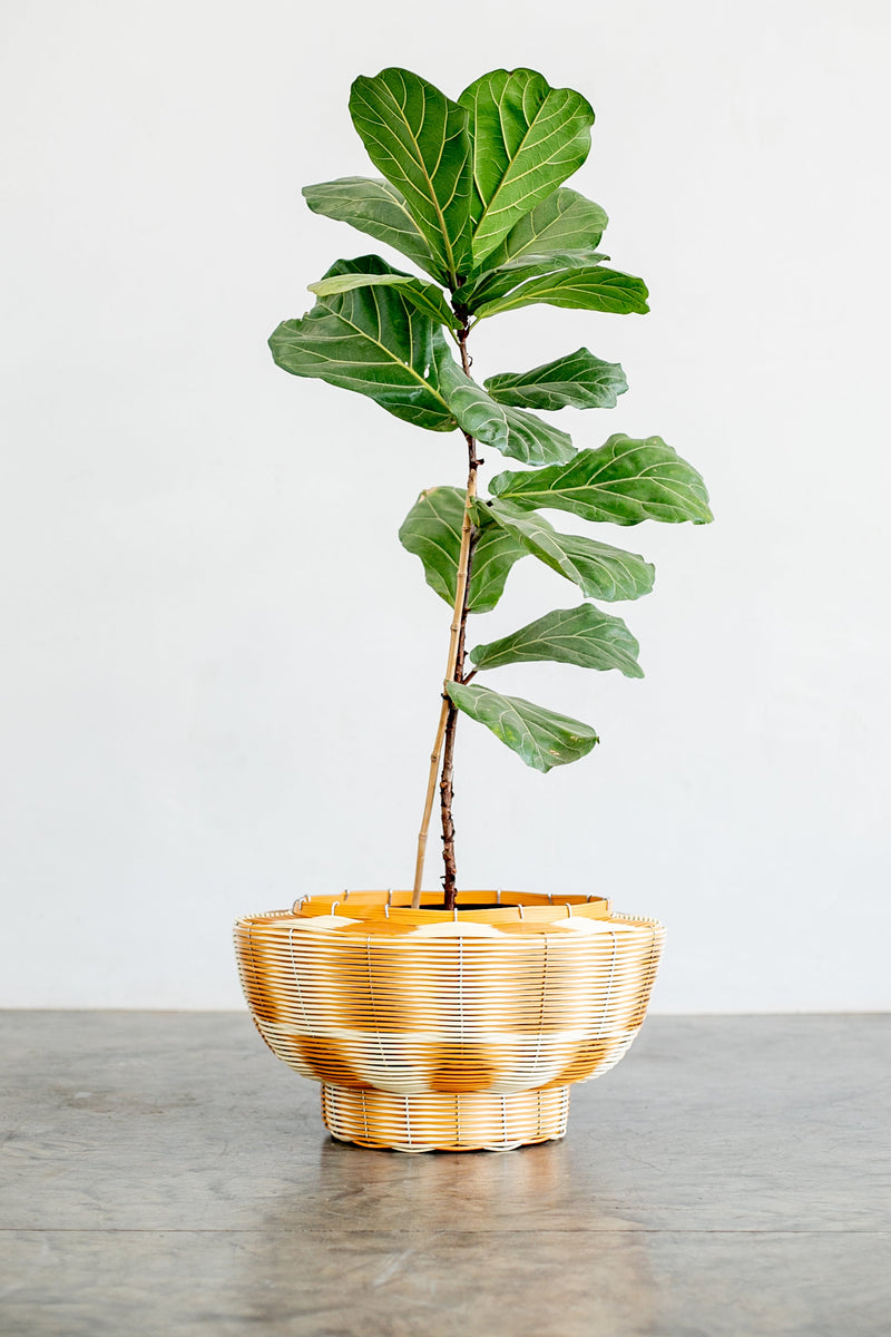 OLS PVC Multi-Colour Recycled Planter