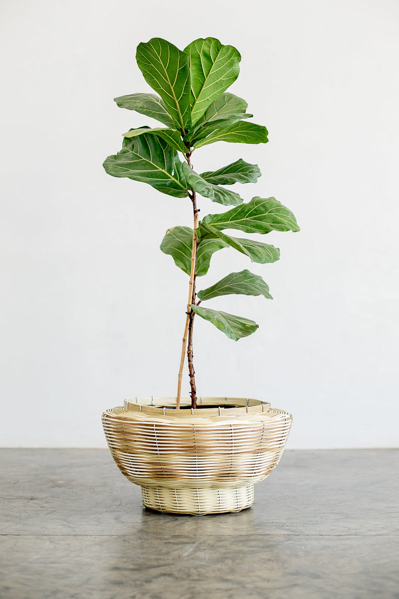 OLS PVC Multi-Colour Recycled Planter
