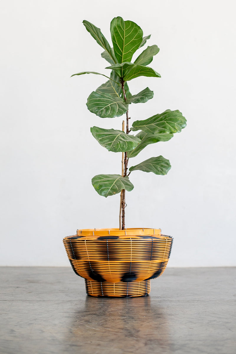 OLS PVC Multi-Colour Recycled Planter
