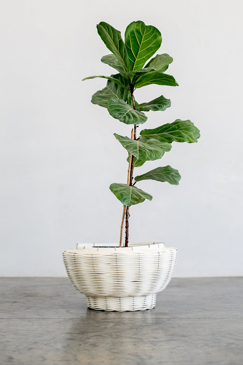 OLS PVC Multi-Colour Recycled Planter