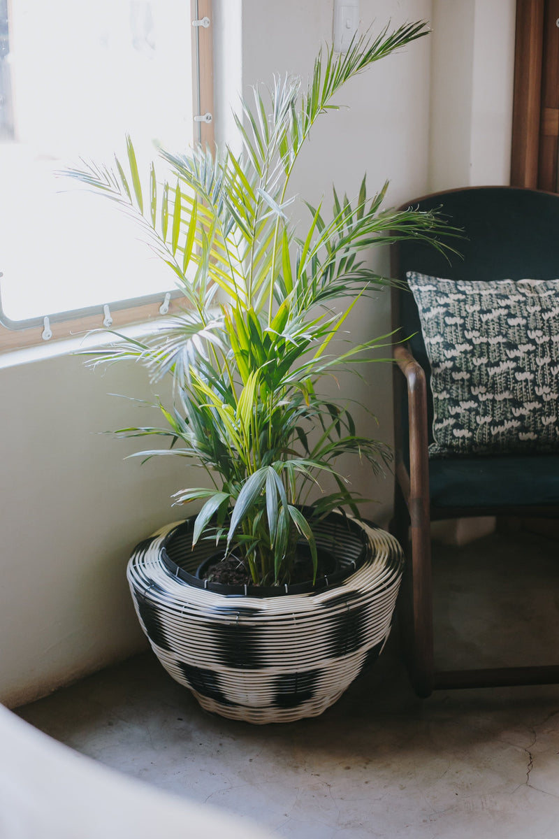 OLS PVC Multi-Colour Recycled Planter