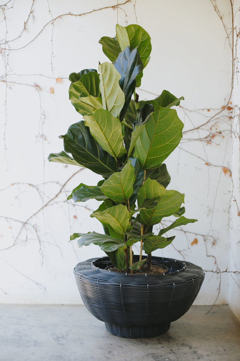 OLS PVC Multi-Colour Recycled Planter