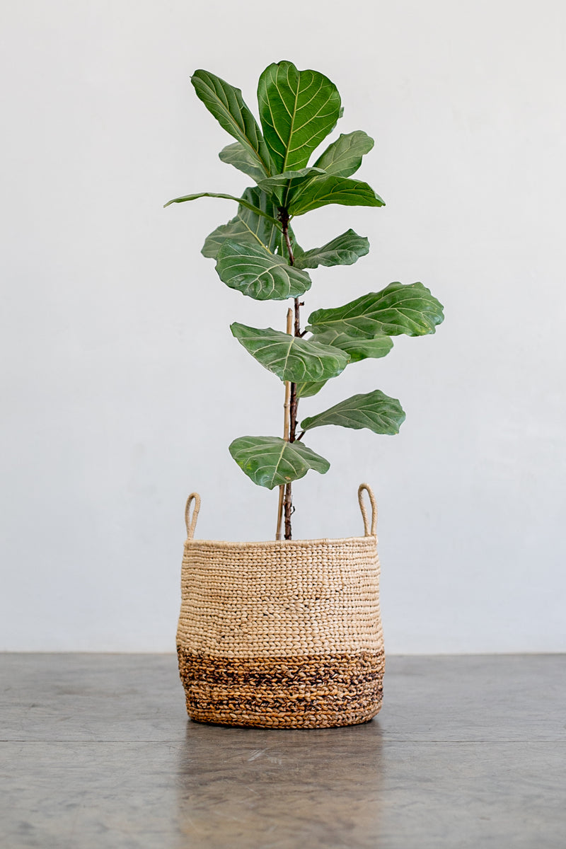 OLS Banana Bark & Sisal Premium Planter